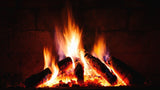 Landree® Holzwolle-Anzünder Kamin-Anzünder für Grill Smoker Kamin - schwere Qualität für lange Brenndauer